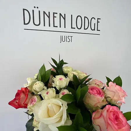 Duenen 6 شقة جويست